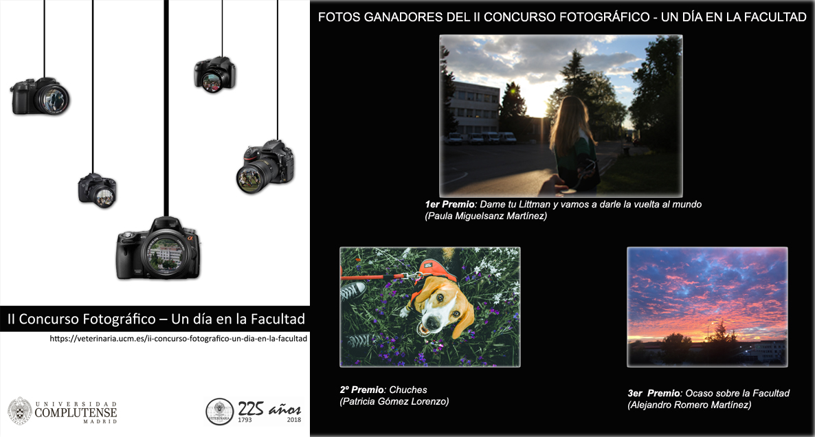 Fotos ganadoras del II Concurso fotográfico "Un día en la Facultad"